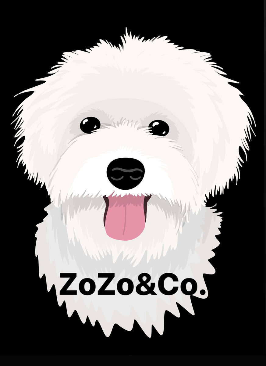 ZoZo&Co.